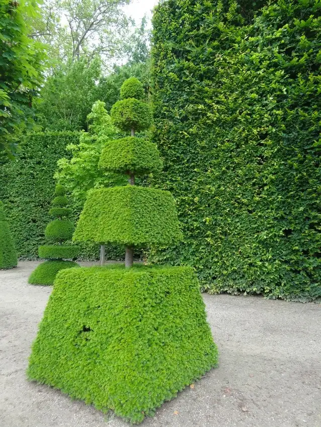 O jardineiro paisagista (Lucas) — foto 1