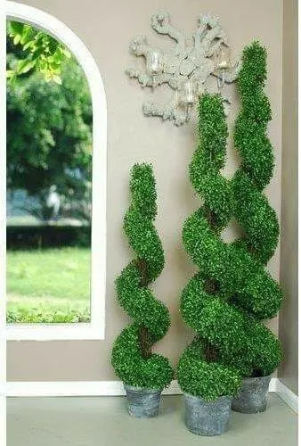 O jardineiro paisagista (Lucas) — foto 5