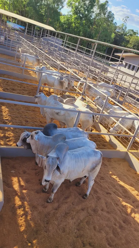 Parque de Exposições Agrícolas — foto 4