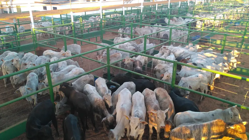 Parque de Exposições Agrícolas — foto 2