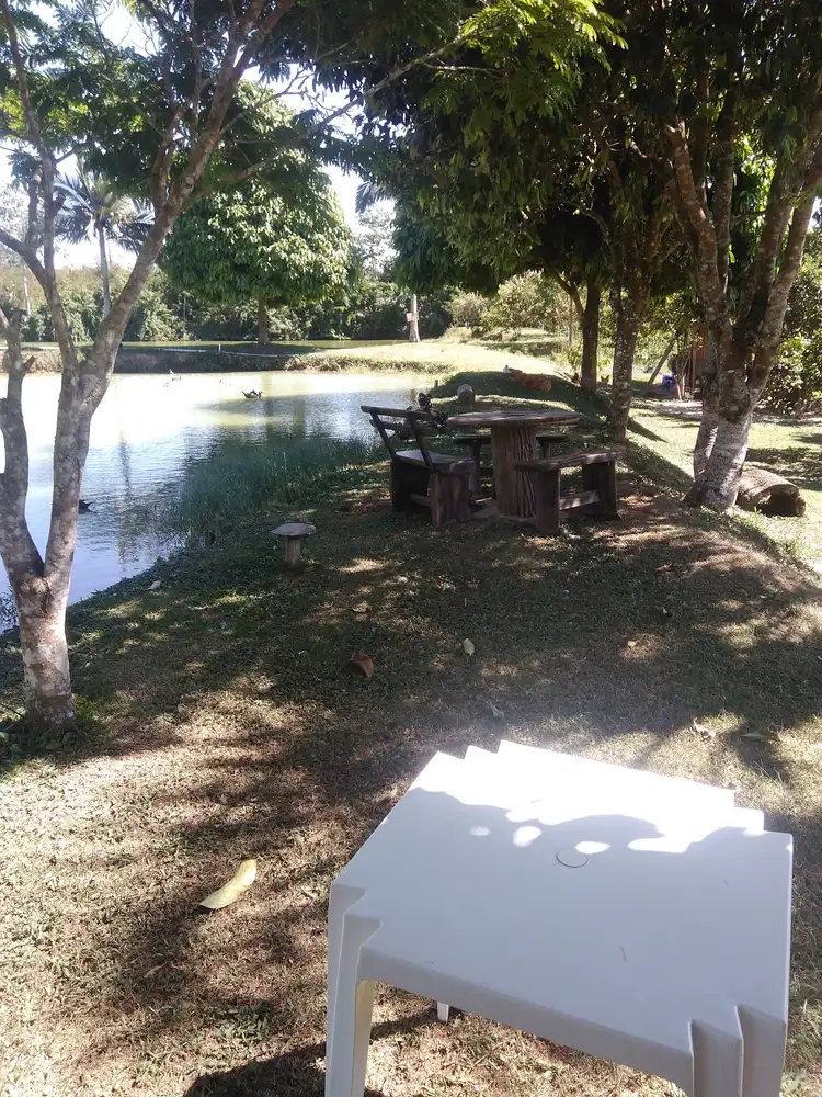 Pesqueiro do Roque — foto 4