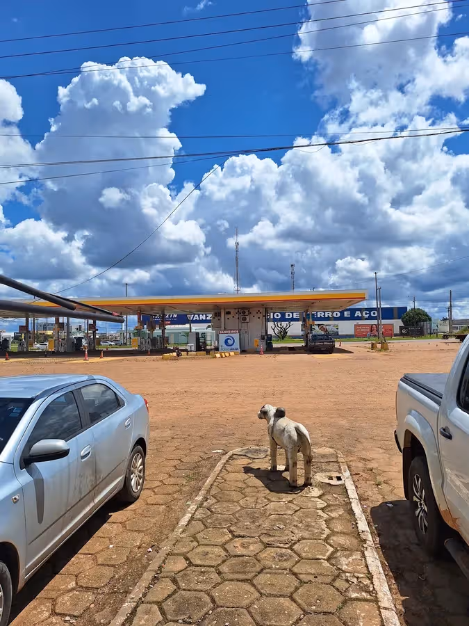 Posto Águia Jô Sato