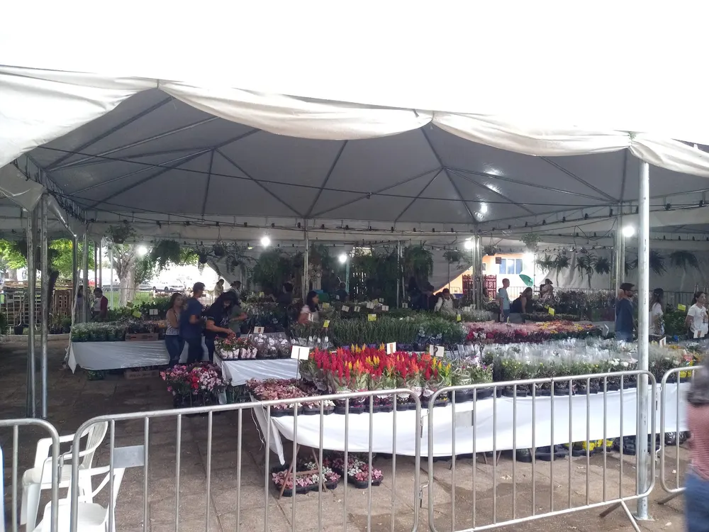Praça Nossa Senhora Aparecida — foto 4