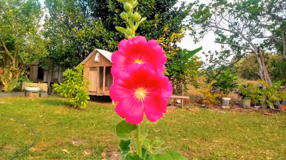 Rancho Café No Bulé