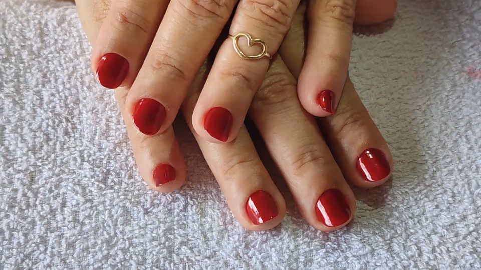 Salão da Lu Mendonça manicure