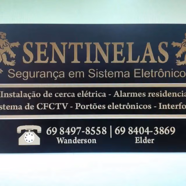 Sentinelas Segurança Em Sistemas Eletronicos