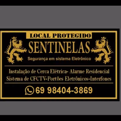 Sentinelas Segurança Em Sistemas Eletronicos