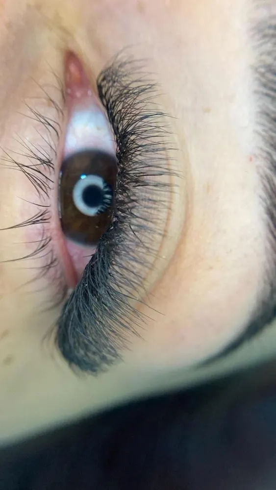 Studio Ce lashes — foto 5