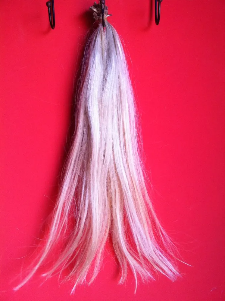 STUDIO RENOVE — foto 5