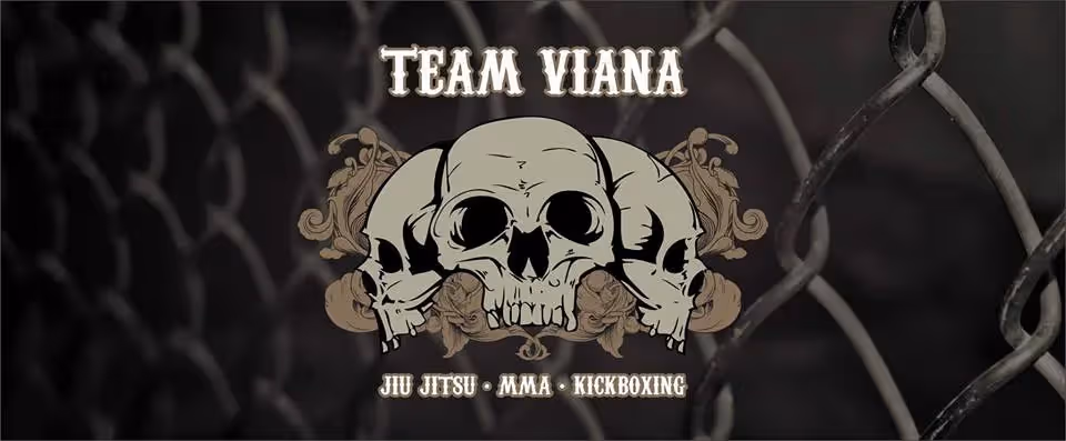Team Viana