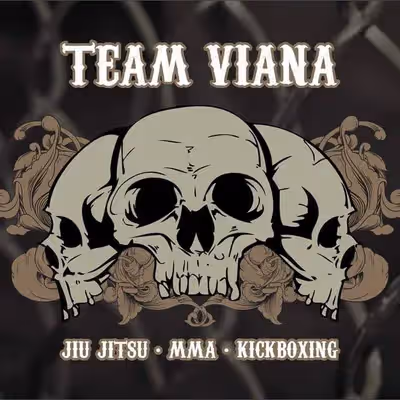 Team Viana