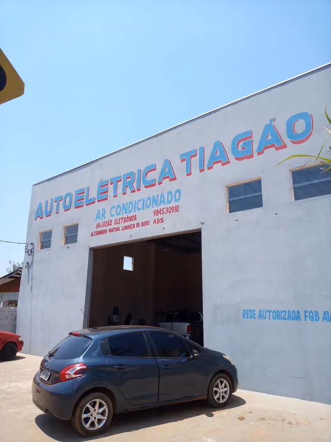 Tiagão Auto Elétrica