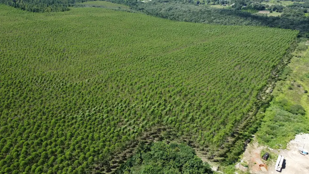 Trata Norte — foto 1