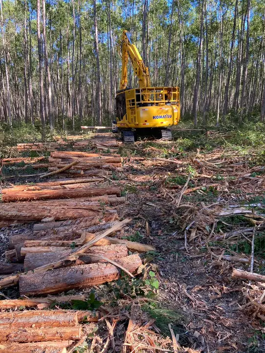 Trata Norte — foto 3