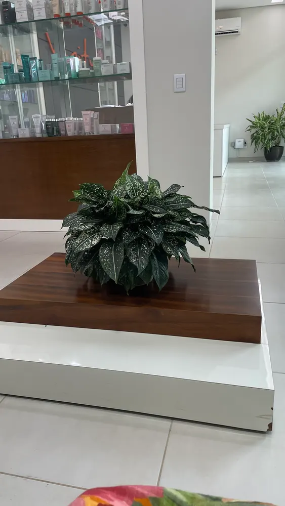 Vanity Spa da Beleza — foto 1