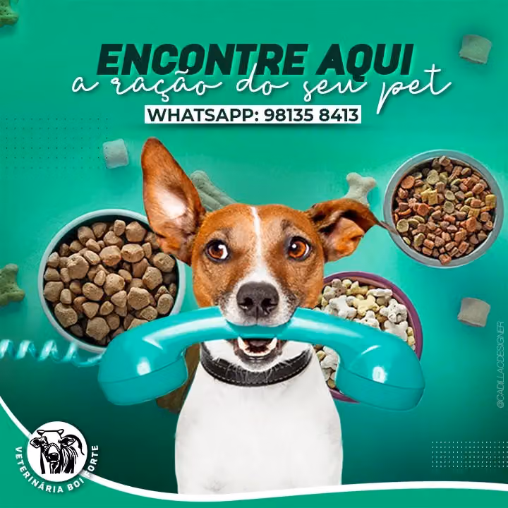 VETERINÁRIA BOI FORTE