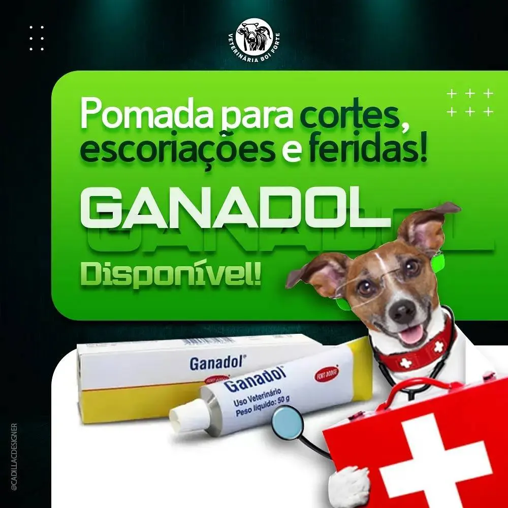 VETERINÁRIA BOI FORTE — foto 2