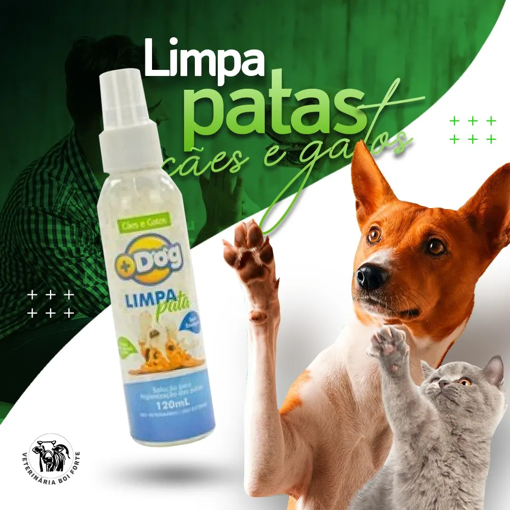 VETERINÁRIA BOI FORTE — foto 3