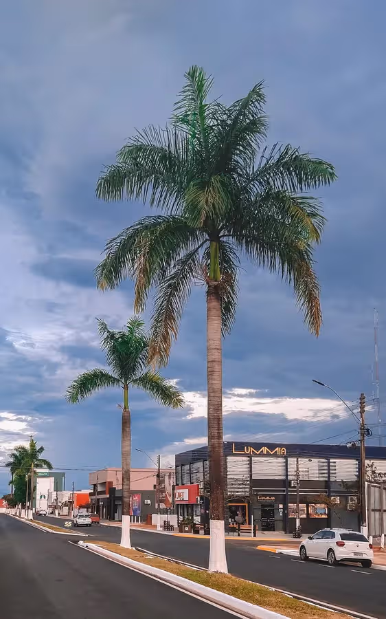 Vilhena