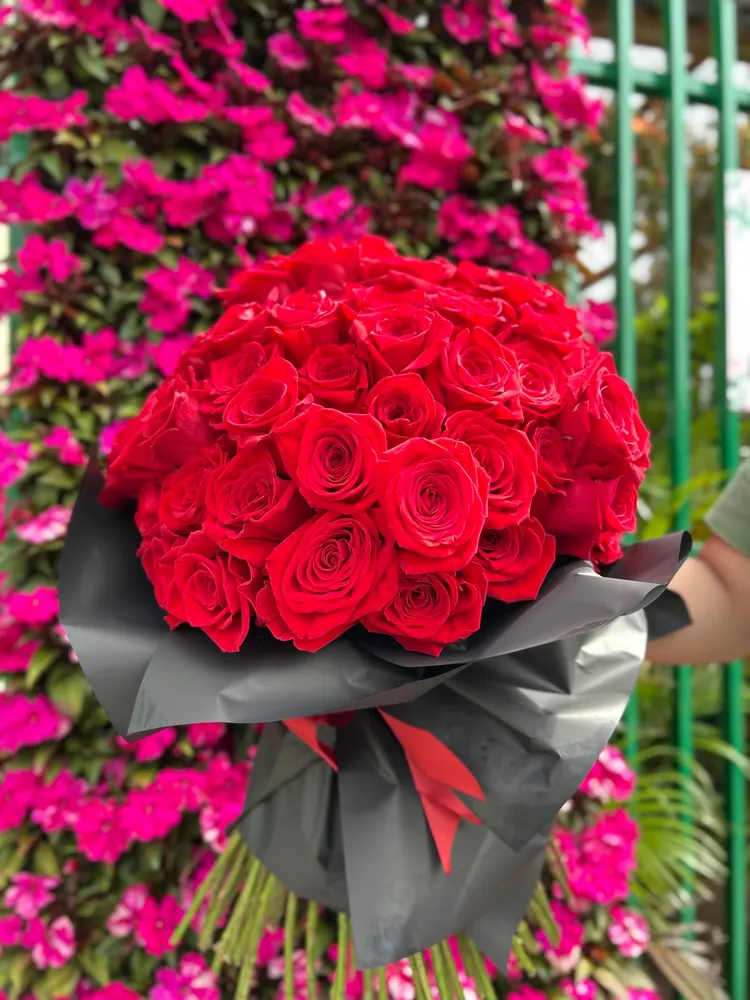 Viveiro Batista Jardinagem e Floricultura — foto 2