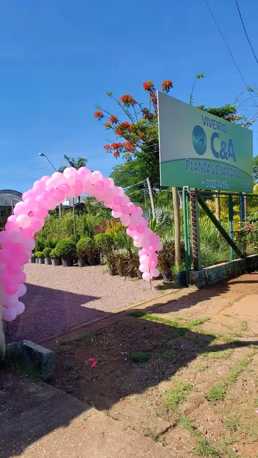 Viveiro C & A Plantas e Jardins
