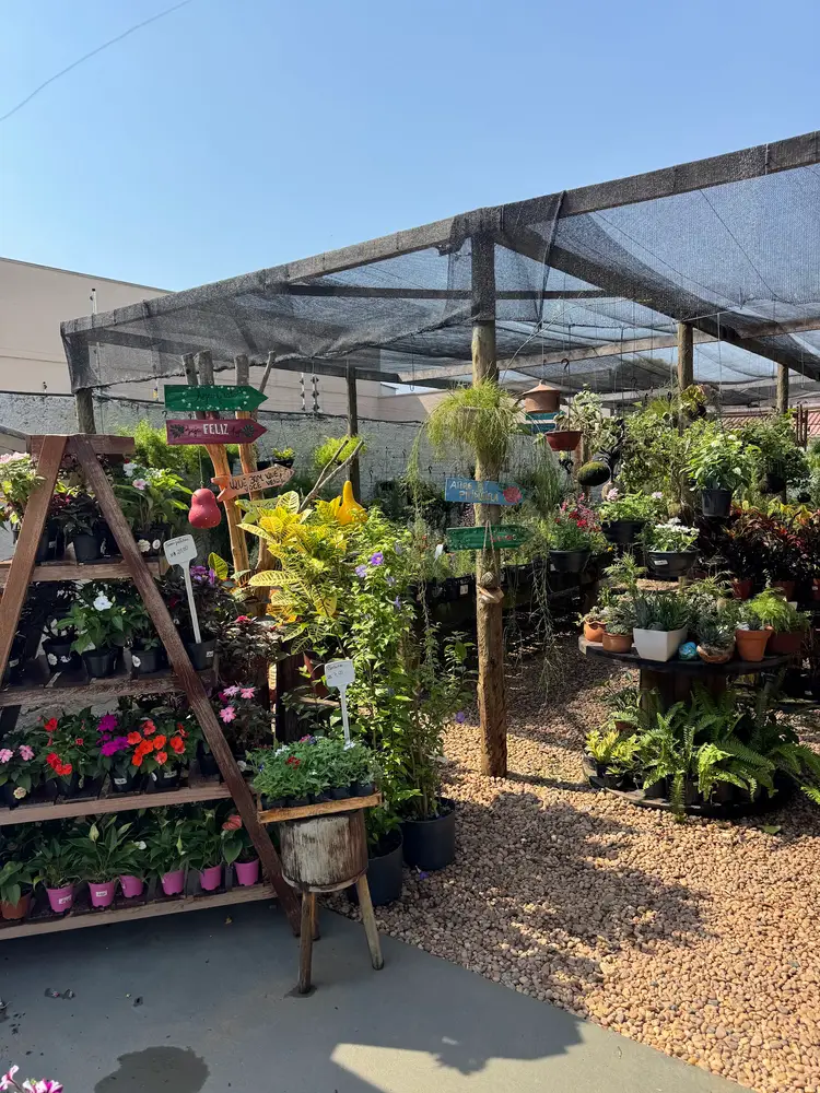 Viverde Garden — foto 2