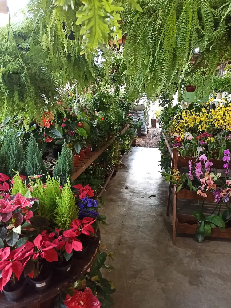 Viverde Garden — foto 1
