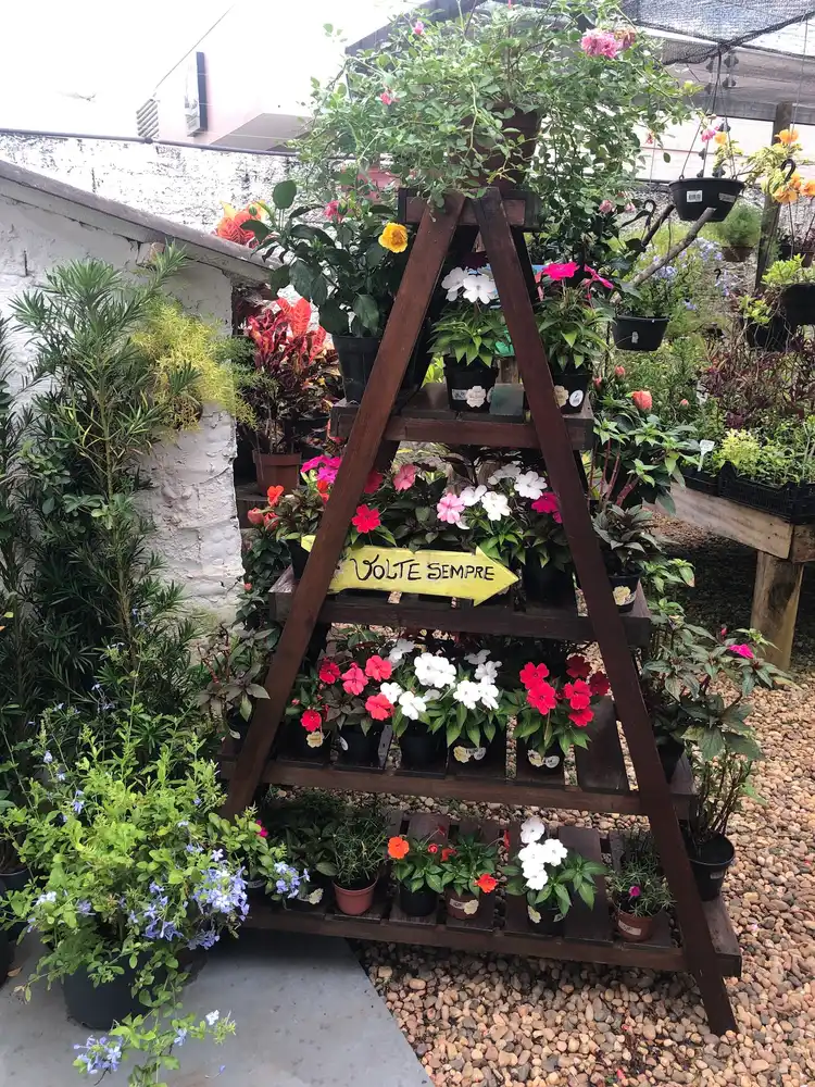 Viverde Garden — foto 3